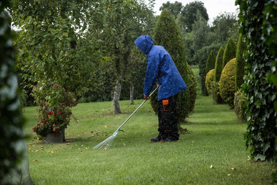 A person wearing a blue raincoat with the hood up, black trousers, and black shoes is using a garden rake to collect fallen leaves or debris on a lush, well-maintained lawn in a garden setting. The lawn features neatly trimmed grass and is bordered by a variety of shaped shrubs and small trees, including rounded and conical evergreen bushes. The background shows tall, dense hedges and arranged trees, creating a structured garden landscape. The scene appears to be during a rainy day, as evidenced by the wet soil, slightly damp grass, and the person's rainwear. The garden has a mix of flowering plants and greenery, with a natural and orderly layout, and the overall environment is illuminated by soft, diffused outdoor lighting.